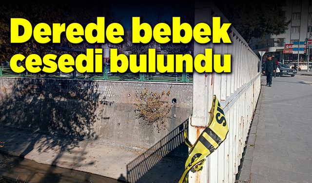 Derede bebek cesedi bulundu!