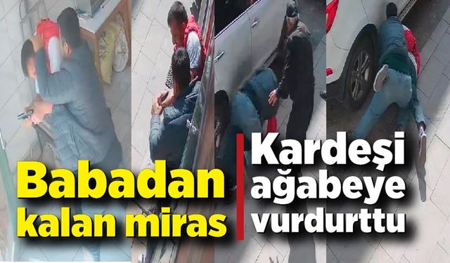 Babadan kalan miras, kardeşi ağabeye vurdurttu