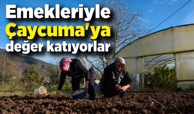 Emekleriyle Çaycuma'ya değer katıyorlar