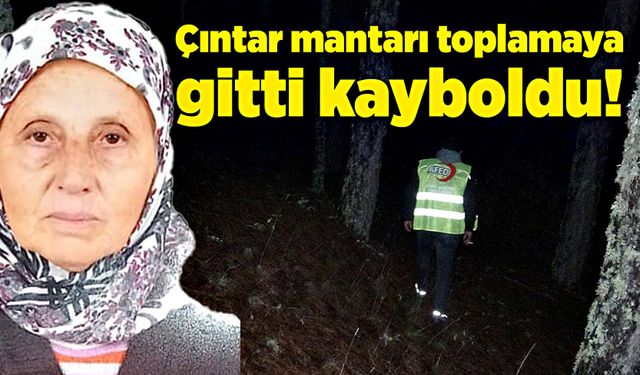 Çıntar mantarı toplamaya gitti, kayboldu!