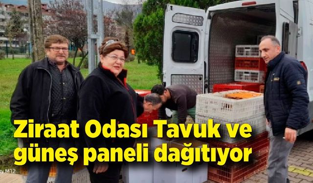 Devrek Ziraat Odası Tavuk ve güneş paneli dağıtıyor