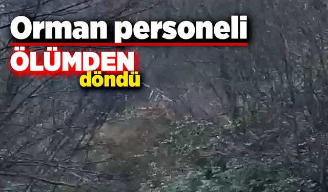 Orman personeli ölümden döndü!