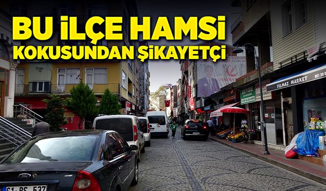 Bu ilçe hamsi kokusundan şikayetçi!