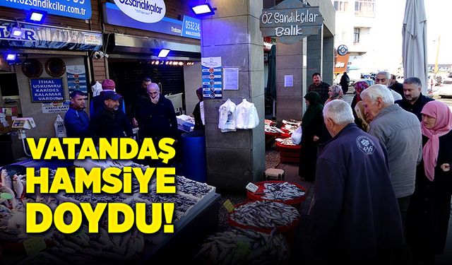 Hamsi bereketiyle vatandaşın yüzü güldü