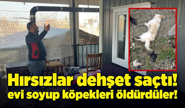 Hırsızlar dehşet saçtı!