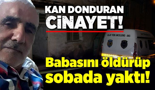 Kan donduran cinayet! Babasını öldürüp sobada yaktı!