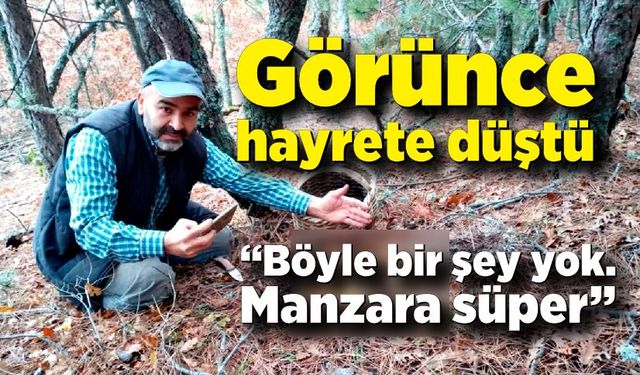 Görünce hayrete düştü, kayda alarak anlatmaya başladı