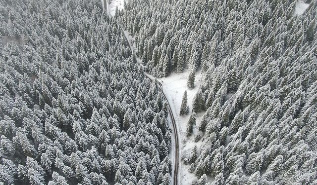 Bembeyaz yaylalarda adrenalin rüzgarı: KARDOFF'un Karabük macerası