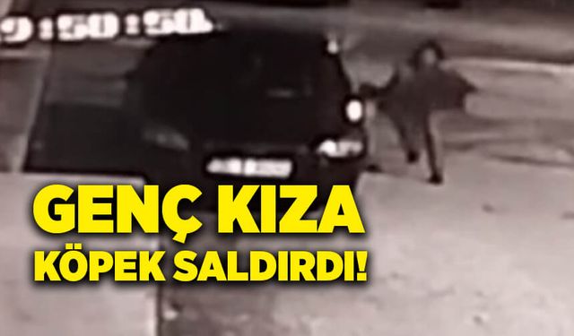 Genç kıza köpek saldırdı!