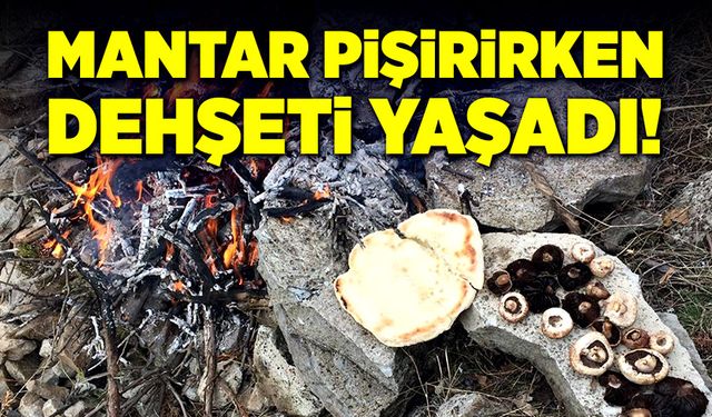 Mantar pişirirken, dehşeti yaşadı!