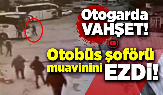 Otobüs şoförü muavinini ezdi!