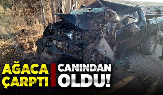 Ağaca çarptı, canından oldu!