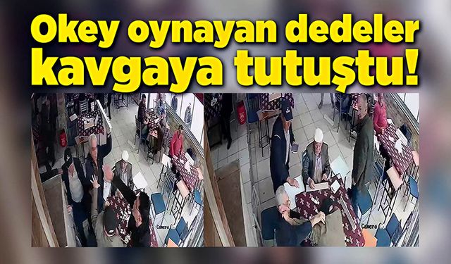 Okey oynayan dedeler, taş yüzünden kavga etti!