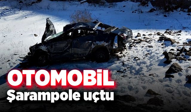 Şarampole uçan otomobilin sürücüsü hayatını kaybetti