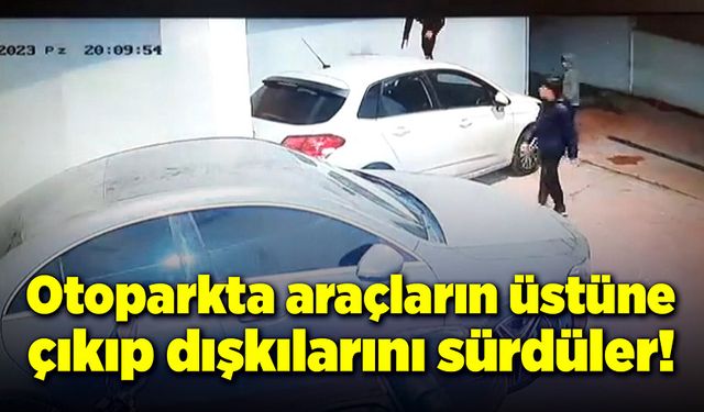 Otoparkta araçların üstüne çıkıp dışkılarını sürdüler!