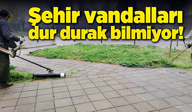 Şehir vandalları bir hafta içinde iki kez aydınlatmalara zarar verdiler!