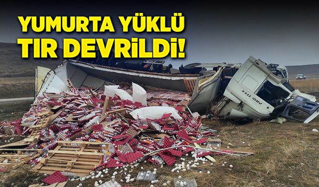 Yumurta yüklü tır devrildi!