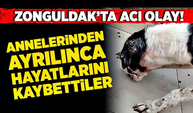 Zonguldak’ta acı olay! Annelerinden ayrılınca hayatlarını kaybettiler