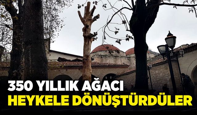 350 yıllık ağacı heykele dönüştürdüler