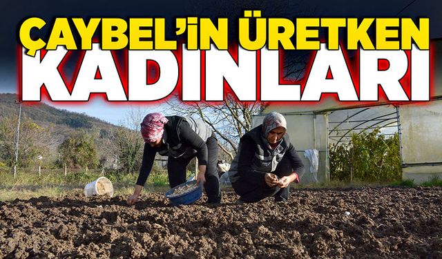 ÇAYBEL’in üretken kadınları