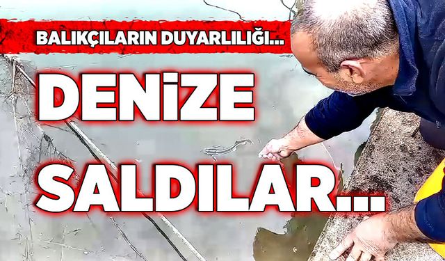 Balıkçıların duyarlılığı... Denize saldılar...