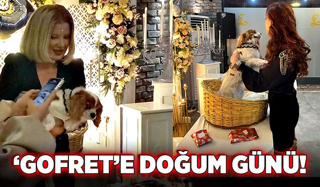 ‘Gofret’e doğum günü!