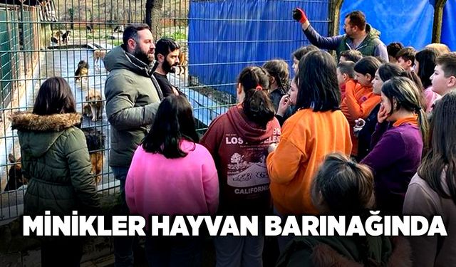 Minikler hayvan barınağında