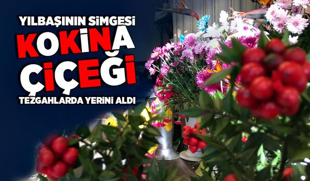 Yılbaşının simgelerinden kokina çiçeği tezgahlarda yerini aldı