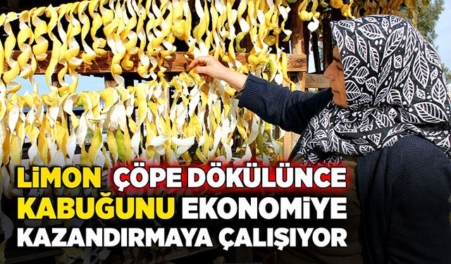 Limon çöpe dökülünce kabuğunu ekonomiye kazandırmaya çalışıyor