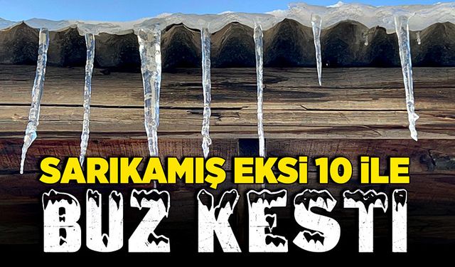 Sarıkamış eksi 10 ile buz kesti