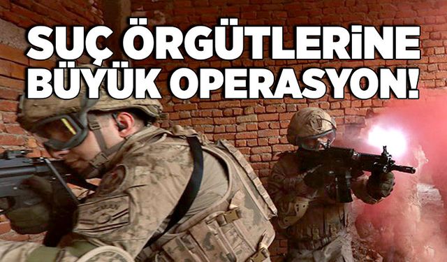 Suç örgütlerine operasyon!