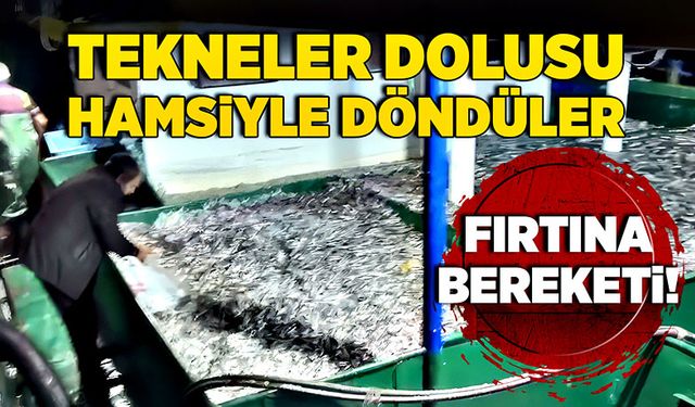 Fırtına bereketi! Tekneler dolusu hamsiyle döndüler...