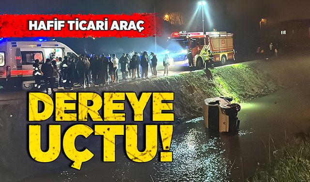 Hafif ticari araç dereye uçtu!