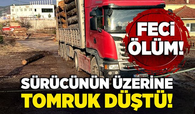 Feci ölüm! Sürücünün üzerine  tomruk düştü!