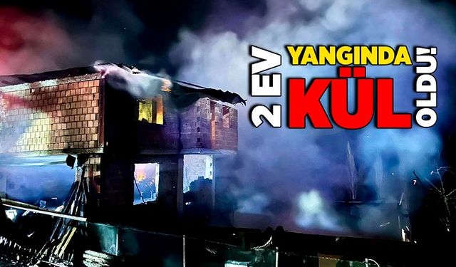 2 ev yangında kül oldu!