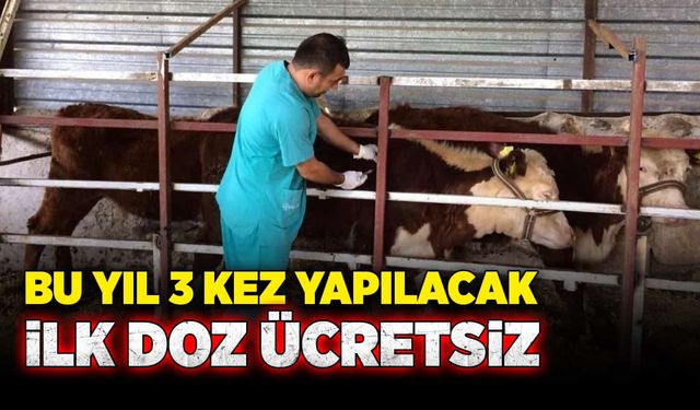 Bu yıl 3 kez yapılacak ilk doz ücretsiz!