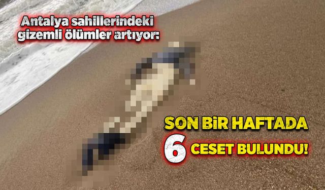 Antalya sahillerindeki gizemli ölümler artıyor: Son bir haftada 6 ceset bulundu