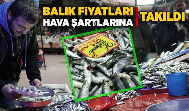 Balık fiyatları hava şartlarına takıldı!