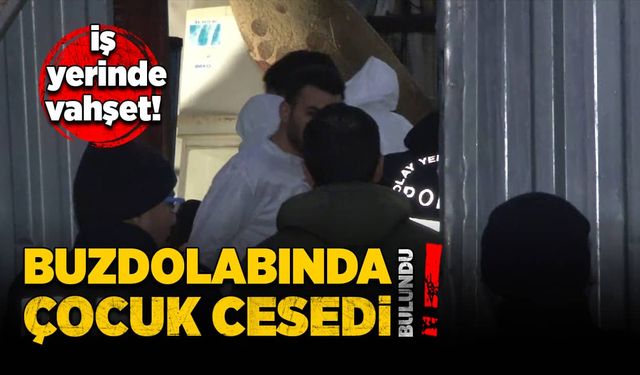 İş yerindeki buzdolabında çocuk cesedi bulundu!