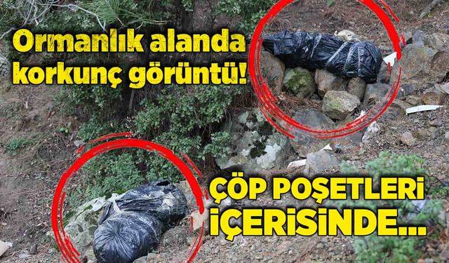 Ormanlık alanda korkunç görüntü! Çöp poşetleri içerisinde...