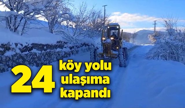 Düzce'de kar yağışı: 24 köy yolu ulaşıma kapandı!