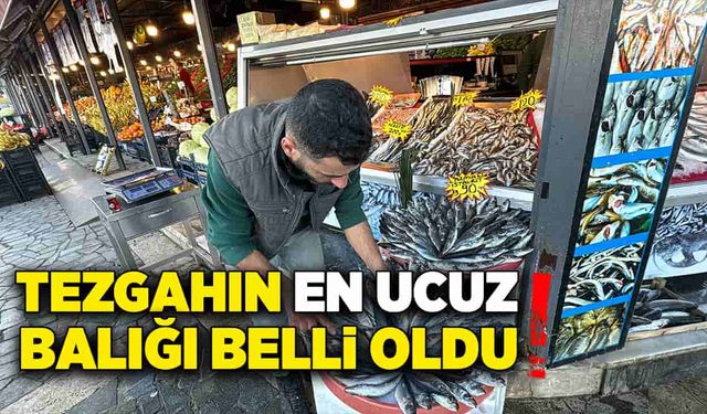 Tezgahın en ucuz balığı belli oldu!