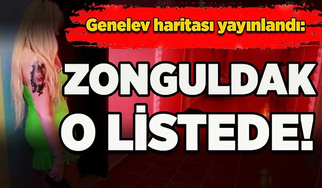 Genelev haritası yayınlandı: Zonguldak da o listede!