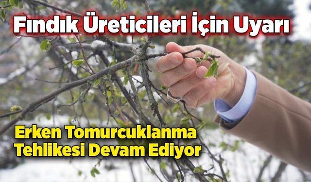 Fındık üreticileri için uyarı: Erken tomurcuklanma tehlikesi devam ediyor