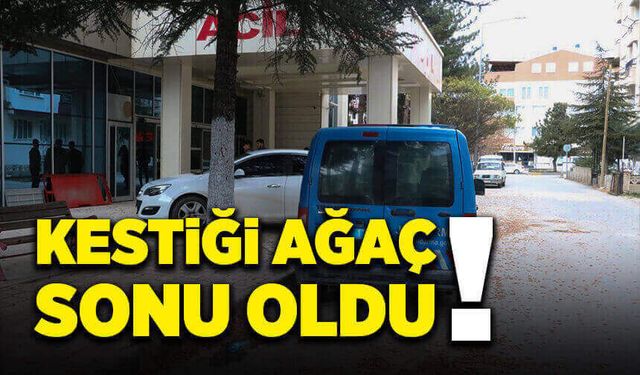 Kestiği ağaç canından etti!