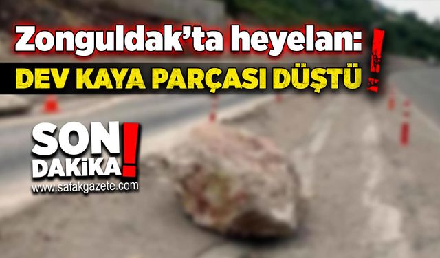 Zonguldak’ta heyelan: Dev kaya parçası düştü!