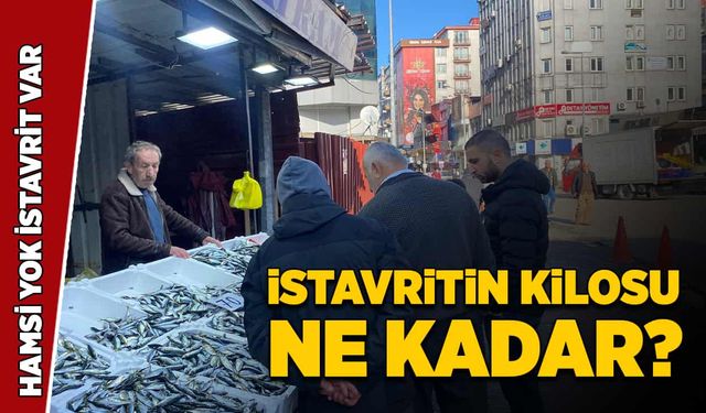 Zonguldak'ta istavritin kilosu ne kadar?