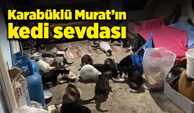 Karabüklü Murat’ın kedi sevdası