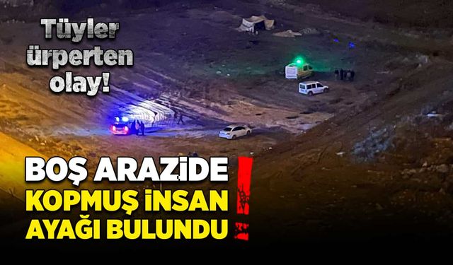 Boş arazide kopmuş insan ayağı bulundu!