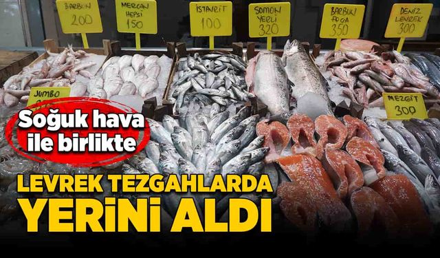 Soğuk hava ile birlikte, levrek tezgahlarda yerini aldı